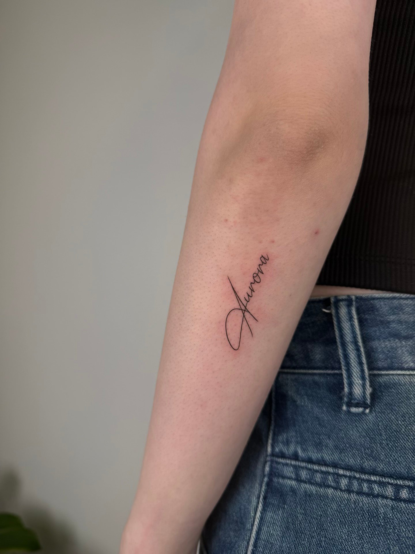 Fineline — ramo e foglie