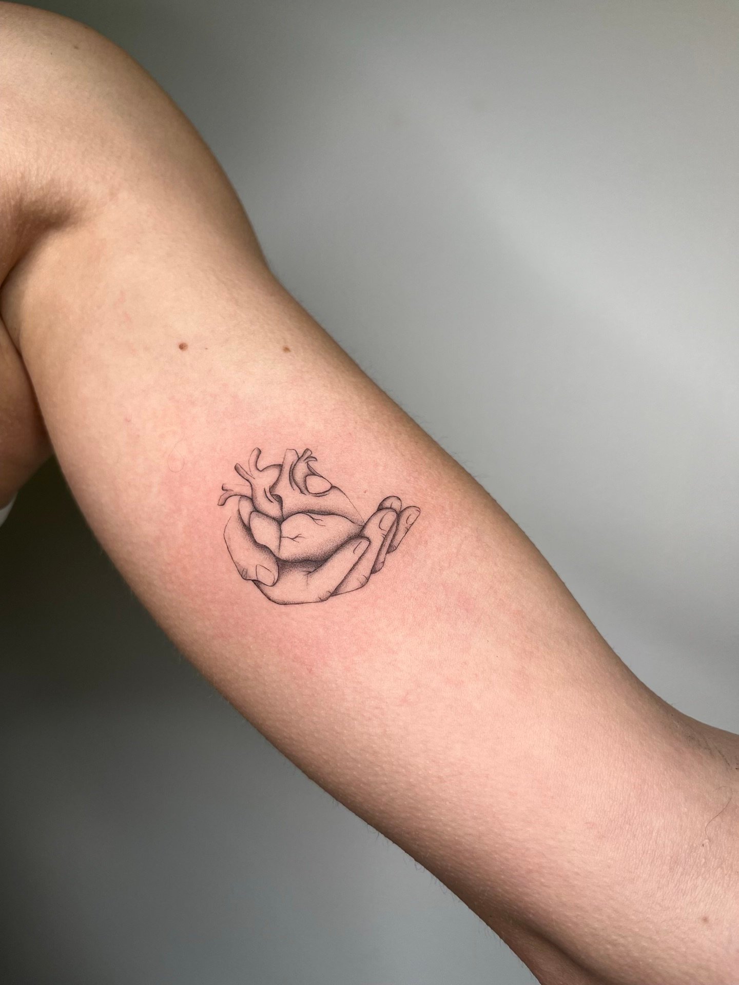 Fineline — fiore di campo