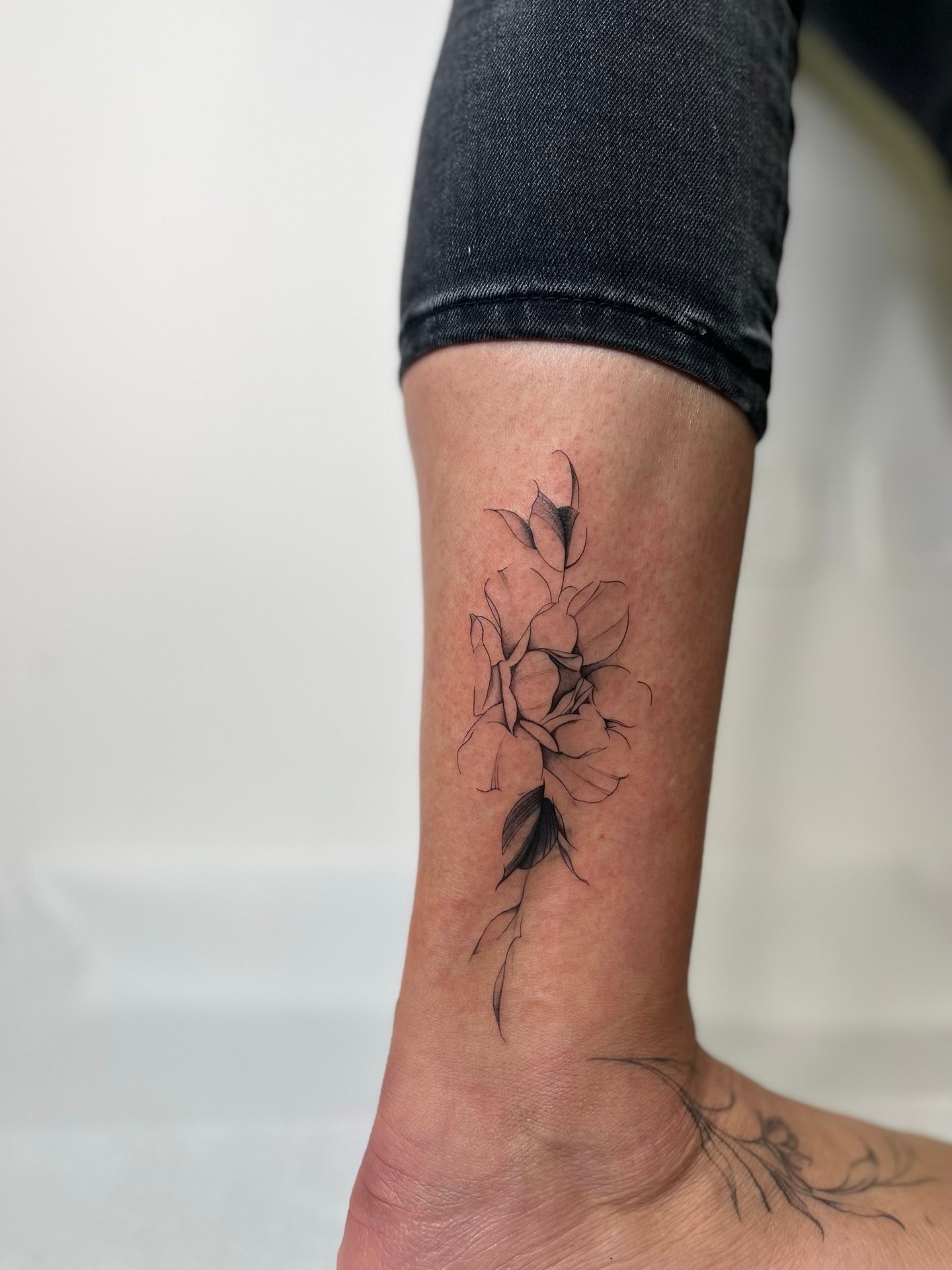 Fineline botanico — piante