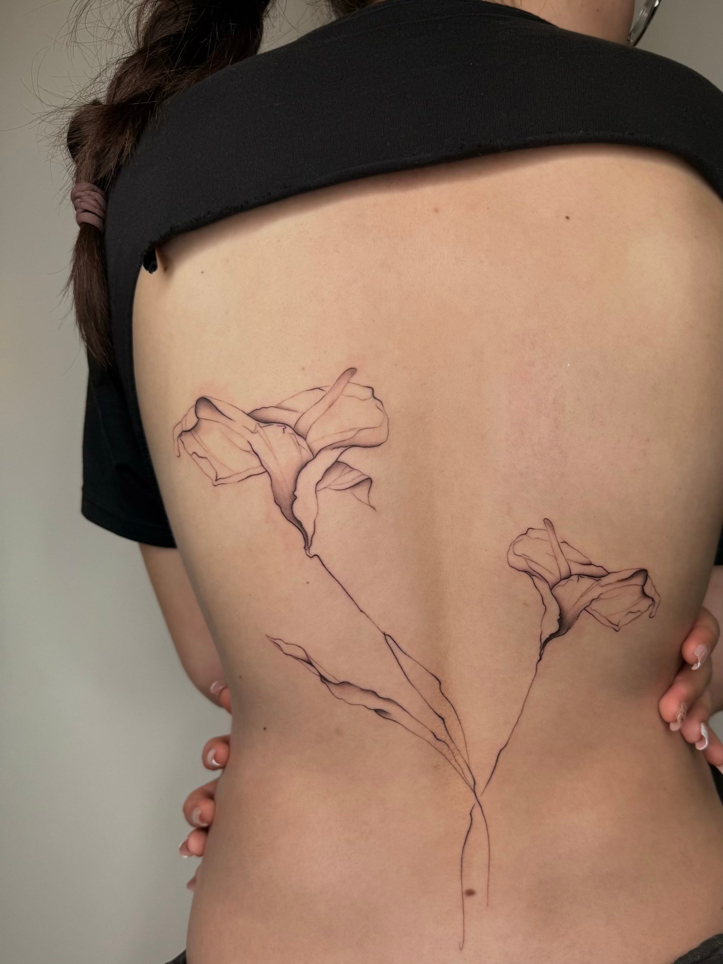 Fineline ornamentale